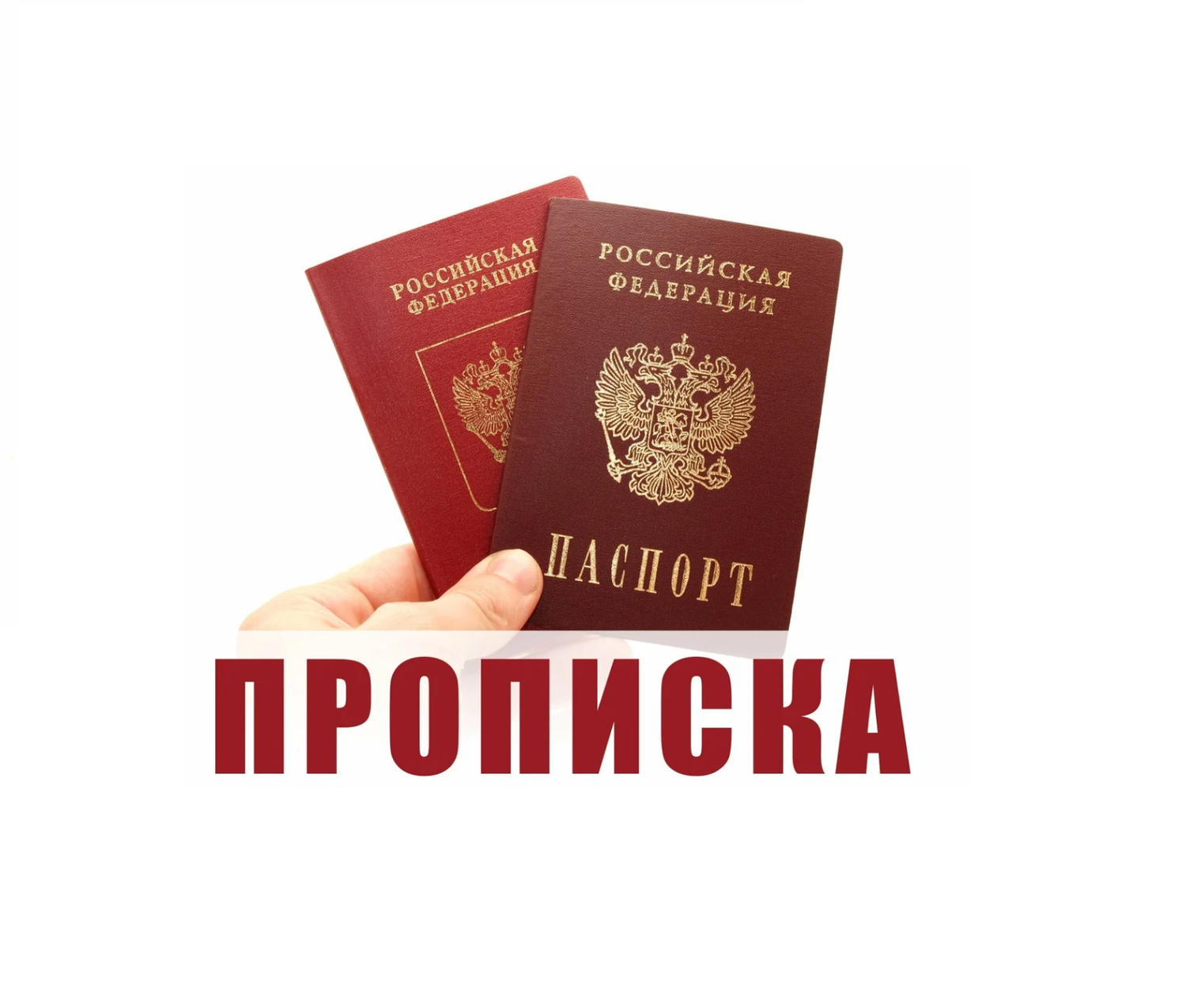 Прописка <br>